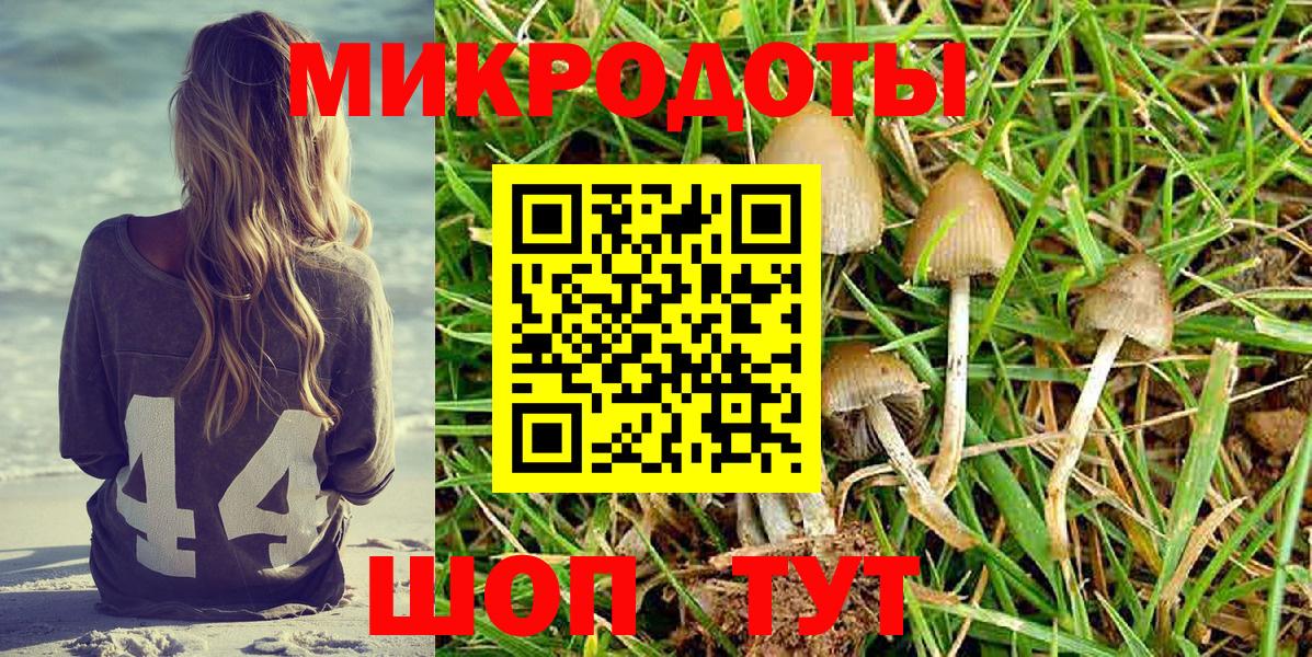Набережные Челны  Псилоцибиновые грибы мухоморы  Вход с VPN 